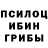 Галлюциногенные грибы Cubensis Kalinichenko Daniil