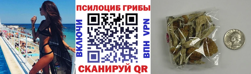 Псилоцибиновые грибы MAGIC MUSHROOMS  закладки  Лиски 